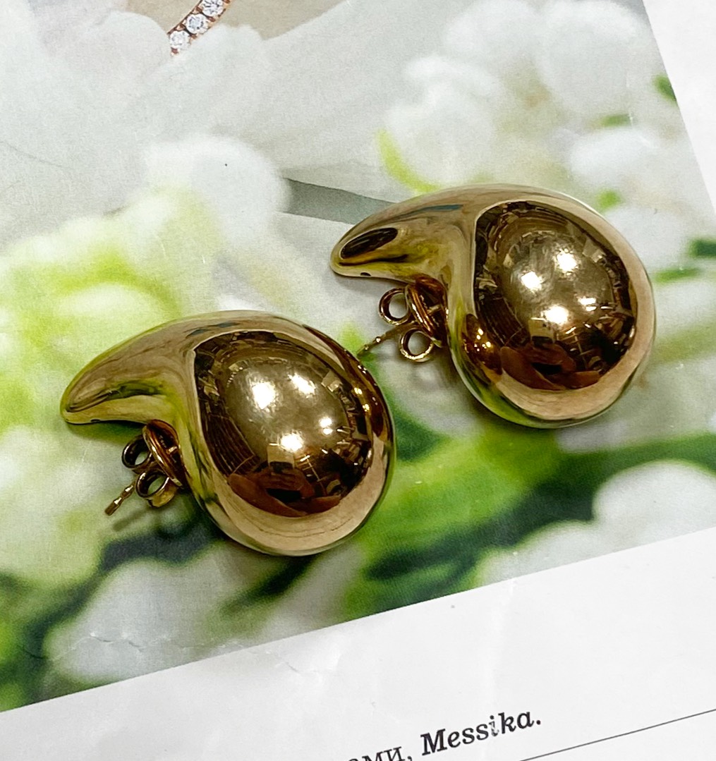 Серьги Bottega Veneta цена 46 965 руб 